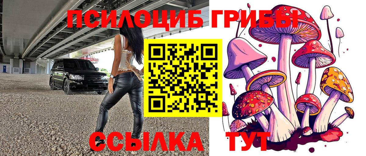 Галлюциногенные грибы мицелий  продажа наркотиков  Электросталь  Вход с VPN 